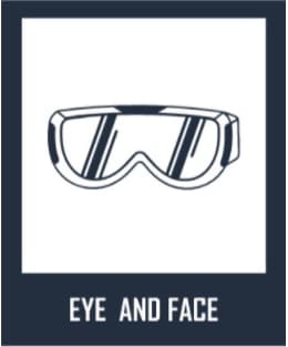 EYE AND FACE