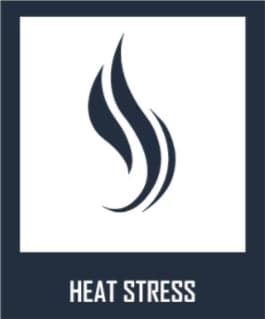 HEAT STRESS