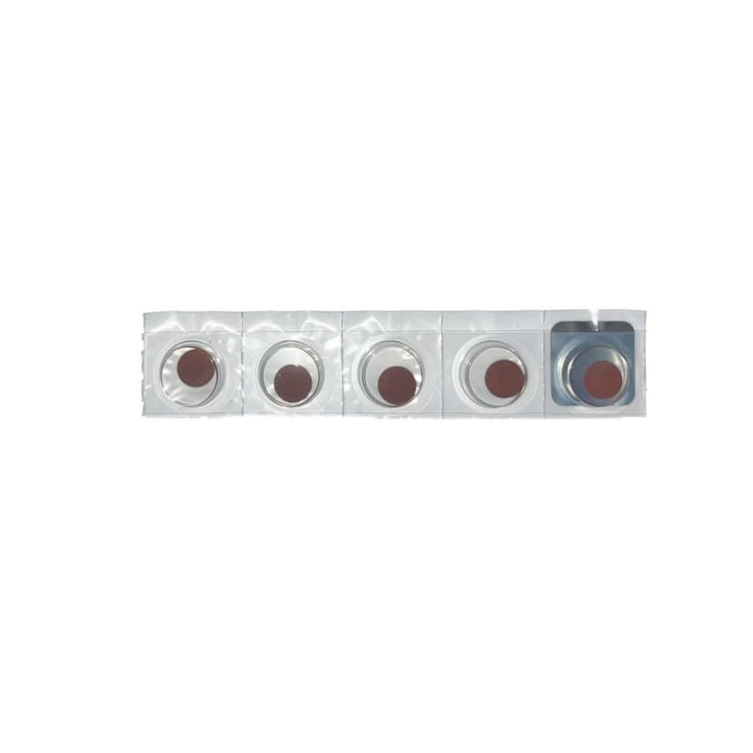 RKI FILTER H2S SCRUBBER DISK pk 5