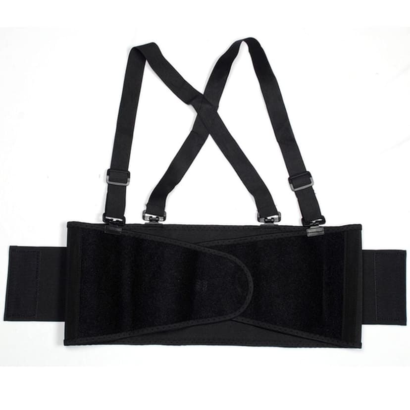 BACK BELT W/SUSP ECON SZ-LRG