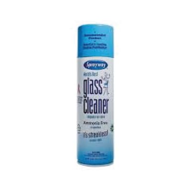 Sprayway 19oz Glass Cleaner Spray